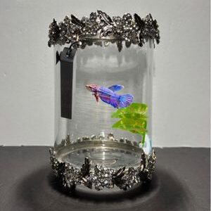 A glass jar with a fish inside of it